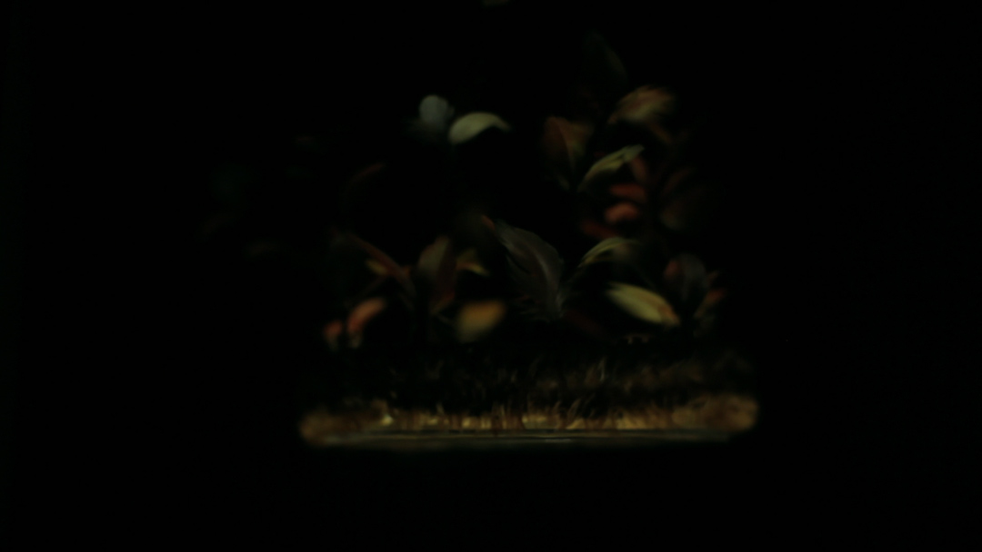 filmstill